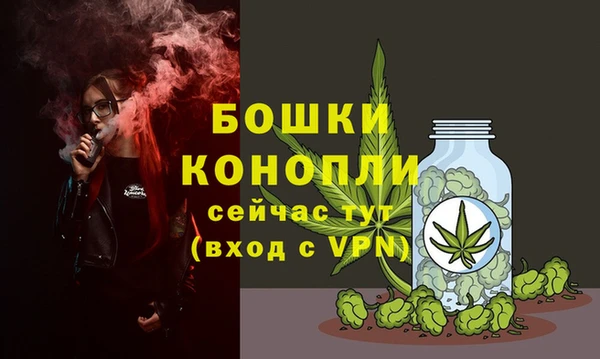 амф Балахна